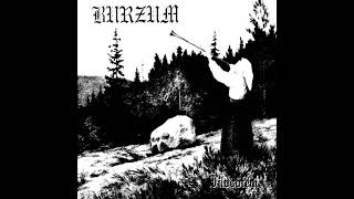 Mistetaret  Dunkelheit BURZUM COVER [upl. by Atsirt]