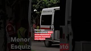 Menor con esquizofrenia mató a sus mascotas e intentó asesinar a su madre  N Shorts [upl. by Lemart784]