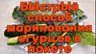 Быстрый способ маринования огурцов в пакете [upl. by Cassi]