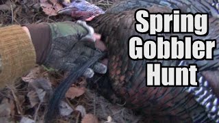 Spring Gobbler Hunt 2015  Toth [upl. by Ennahgiel]