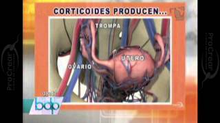 PROCREAR ¿La artritis afecta la fertilidad [upl. by Heisel]