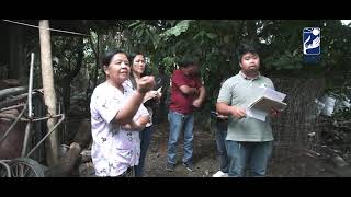 TASK FORCE KALIKASAN ININSPEKSYON ANG INIREREKLAMONG BACKYARD PIGGERY SA BRGY PUNCAN CARRANGLAN [upl. by Alya586]