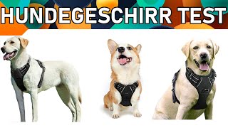 ᐅ Hundegeschirr Test 2023  Beste Hundegeschirre [upl. by Aillemac]