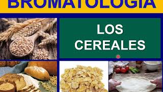 BROMATOLOGIA CEREALES [upl. by Luy]