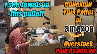 Unboxing a pallet of Amazon overstock and we found Jewels Pet items Gnomes and more [upl. by Acemahs]