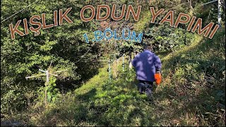 Kışlık Odun Yapımı 1Bölüm [upl. by Renado884]