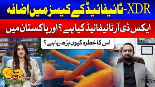 XDR Typhoid  Rising XDRTyphoid Fever Cases in Pakistan  G Utha Pakistan [upl. by Rakia600]