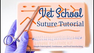 VET SCHOOL SUTURE TUTORIAL Simple Interrupted Continuous Ford Interlocking  BellaVet [upl. by Nairadas646]