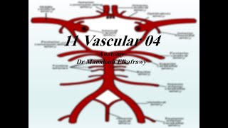 11 Vascular part4 الكفراوي أناتومى Elkafrawy Anatomy Ophthalmic Artery [upl. by Tricia]