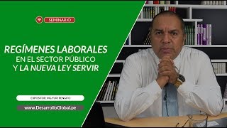 REGÍMENES LABORALES EN EL SECTOR PÚBLICO Y LA NUEVA LEY SERVIR  MGYURI RENGIFO [upl. by Hermione440]