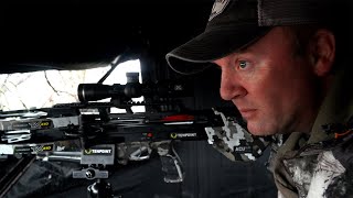 Aoudad Hunting with the TenPoint TX 440 [upl. by Aracat]