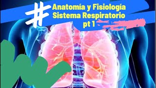 Sistema Respiratorio parte 1 Anatomía y Fisiología [upl. by Anaihr]