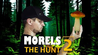 Morels The Hunt 2  Фотограф животных сзади грибник [upl. by Sanalda152]