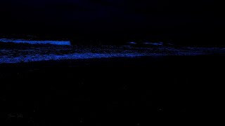 Leave the Symptoms of Insomnia Behind with Best Ocean Sounds and Big Waves at Night [upl. by Raney]