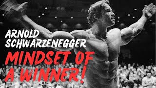 Arnold Schwarzenegger Motivational Success Story [upl. by Eeliram]