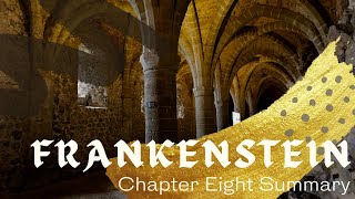 Frankenstein Chapter Eight Summary [upl. by Eesyak]