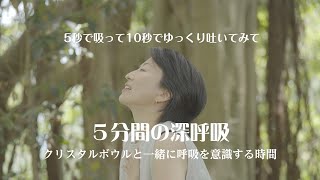 【5分間の深呼吸】１分間で4回の呼吸のリズムで続ける穏やかな深呼吸ガイド [upl. by Rubia]