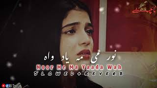 Janana Noor Me Ma Yadawa  SlowedReverb  pashto full New Song 2024 [upl. by Kissie334]