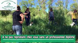 Comment éduquer un chien fugueur  Eric Tramson Educateur canin comportementaliste [upl. by Hurlow970]