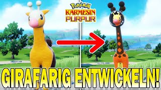 GIRAFARIG Fundort amp zu FARIGIRAF Entwickeln in Pokemon Karmesin amp Purpur [upl. by Ssepmet148]