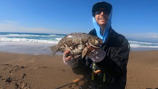 HOT PERCH FISHING TIP Watch The Waves w Charlie Cote [upl. by Oralia663]