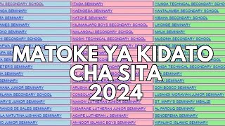 FORM SIX NECTA RESULTS 2024 MATOKEO YA KIDATO CHA SITA 2024 [upl. by Renado23]