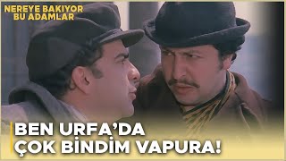 Nereye Bakıyor Bu Adamlar Türk Filmi  Zeki ile Metin İstanbula Geliyor [upl. by Audra990]