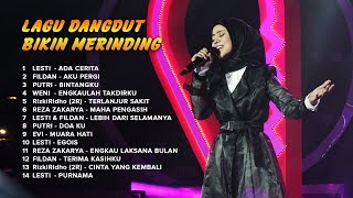 LAGU DANGDUT BIKIN MERINDING [upl. by Uela]