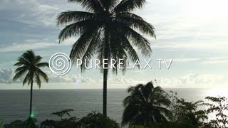 Lounge Music  Guitar Music Harmony Wellness amp Paradise  OCEAN LOUNGE [upl. by Mullen]