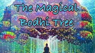 Children’s Sleep Meditation Story  The Magical Bodhi Tree [upl. by Juliano]