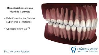 ¿Cómo funciona la ortodoncia [upl. by Ennovyahs]