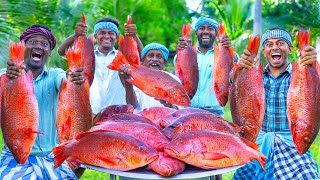 RED SNAPPER FISH  Big Fish Grill Recipe Cooking in Village  Fish Fry in Clay  Ancient Cooking [upl. by Gaige726]