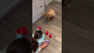 Dog Tired of Doing Tricks for Treats  RxCKSTxR Comedy Voiceover [upl. by Adneram927]