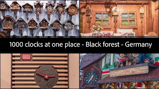 Virtual tour of HOUSE OF 1000 CLOCKS Triberg Germany  CUCKOO CLOCKS in Black Forest triberg 4k [upl. by Leahcimnaes]