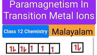 Paramagnetism In Transition Metal Ionsclass12chemistry [upl. by Ardussi]