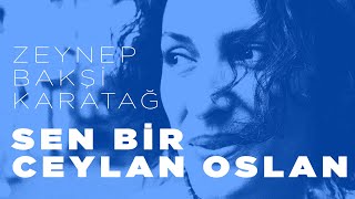 Sen bir ceylan olsan  Zeynep Bakşi Karatağ [upl. by Remde]