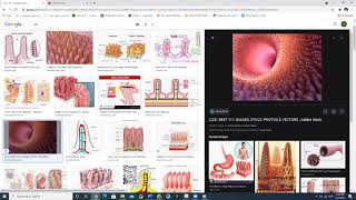 Absorption Intestinale l EB9 l 28 05 2021 l correction de la fiche [upl. by Michelsen916]