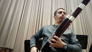 Fragments Bassoon solo 11 [upl. by Dannica]