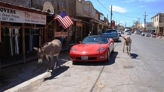 Ghost town Oatman Arizona USA Route 66 [upl. by Ashil]