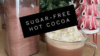 It’s Hot Cocoa Season  Easy Sugar Free Hot Cocoa Recipe  Only 1 WW Point per serving [upl. by Nehtanoj508]