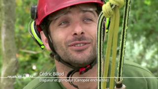 Les détours de Vues sur Loire  Cédric Billod la canopée enchantée [upl. by Anez]