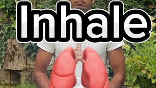 Inhale amp Hold  Check Your Lung Capacity [upl. by Aneleairam]