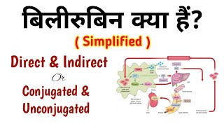 बिलीरुबिन क्या हैं Direct Bilirubin amp Indirect Bilirubin Conjugated amp Unconjugated Bilirubin [upl. by Russia]