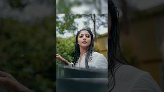 Ashika Asokan mallu new actress new scene 😍❤️ [upl. by Fakieh]