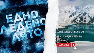 Едно ледено лято – епизод 2 quotТайният живот на ледницитеquot [upl. by Kristy]