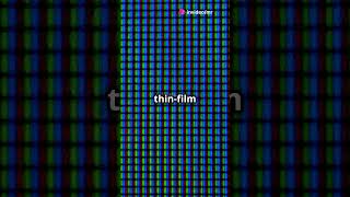 OLED vs AMOLED Which one is Better [upl. by Vachill]