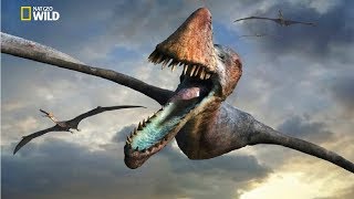 National Geographic  Flying Sky Monsters Pterosaur  New Documentary HD 2018 [upl. by Papp235]