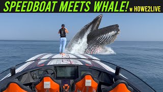 Speedboat meets whale  a Howe2Live episode  MTI 440X [upl. by Gard]