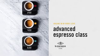 Advanced Espresso Dialing in by Roast Level [upl. by Ellehcan39]