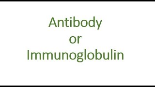 ANTIBODYIMMUNOGLOBULINS MALAYALAM [upl. by Alsi]